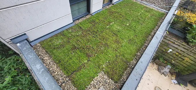 Groendak op een plat dak met waterberging en groene uitstraling