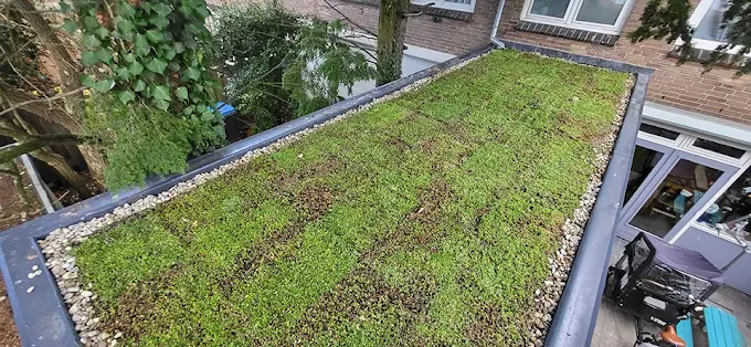 Sedumdak aangelegd op uitbouw Veldhoven